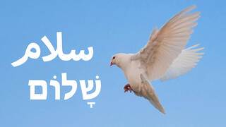 Friedenstaube-hebräisch-arabisch.jpg