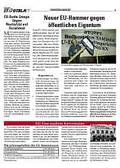 StadtblattDEZ04scr8.jpg